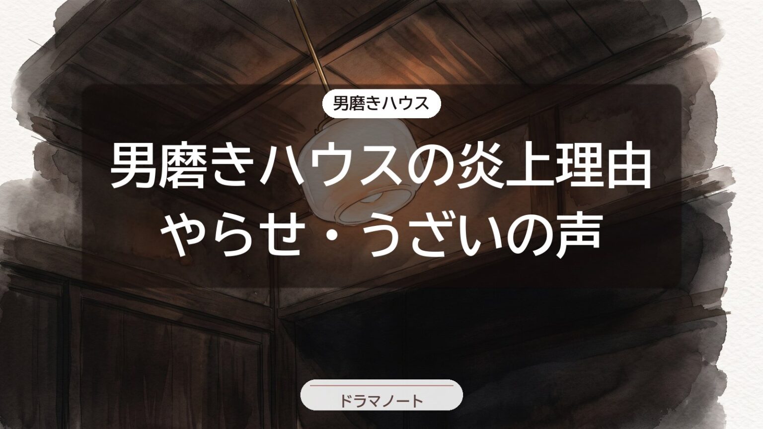 男磨きハウスの炎上理由 やらせ・うざいの声